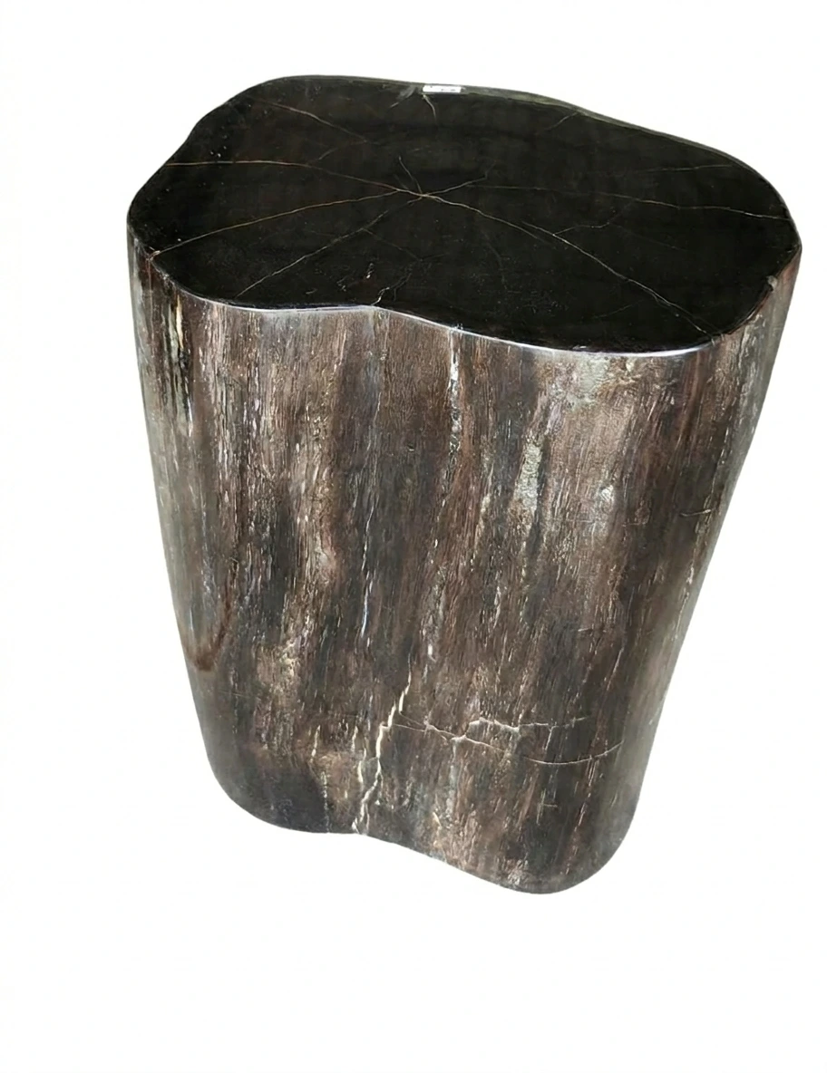 Petrified Wood Stool -ST058