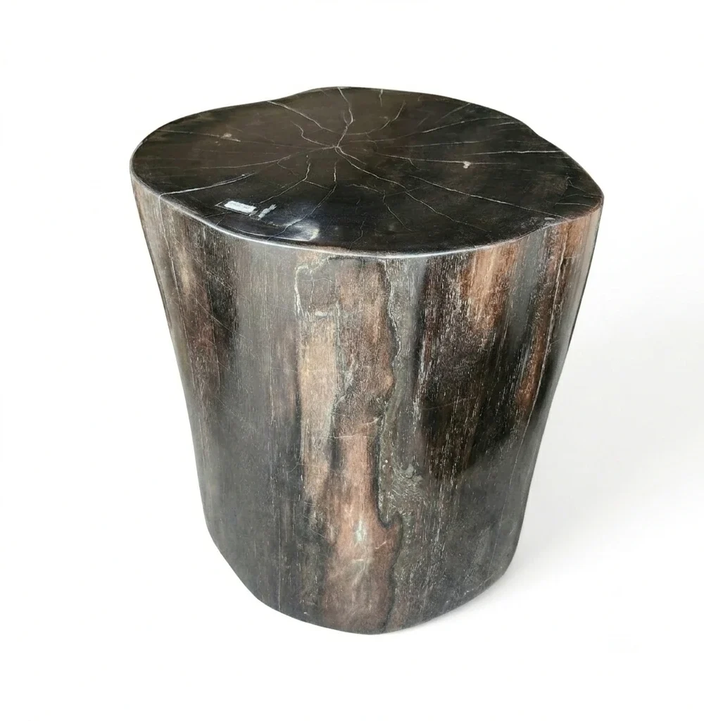 Petrified Wood Stool -ST056