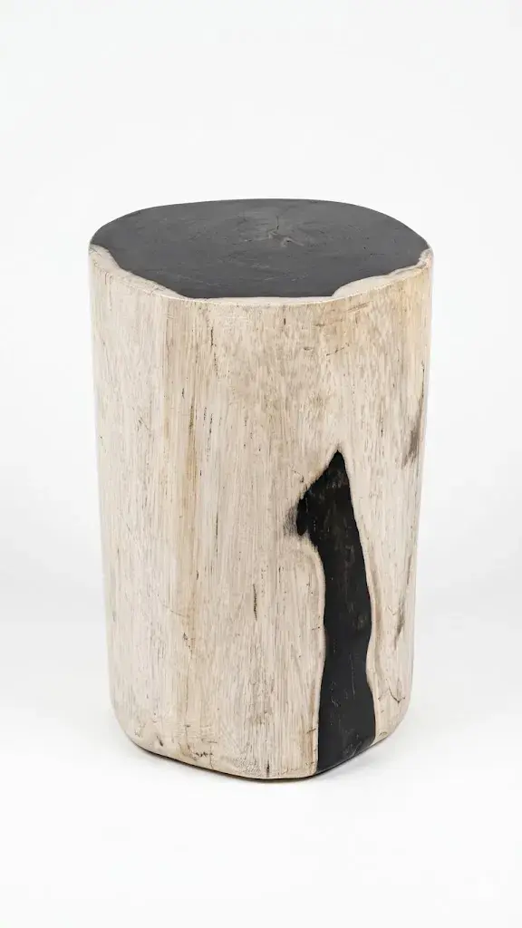 Petrified Wood Stool - ST090