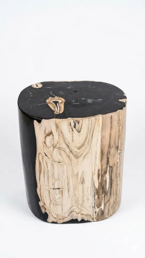 Petrified Wood Stool - ST091