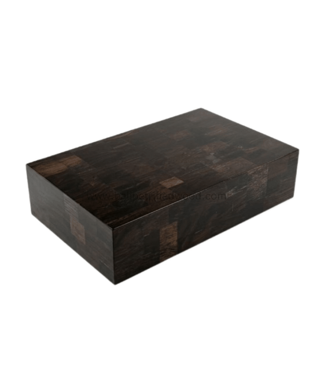 Petrified Wood Coffee Table – TB118