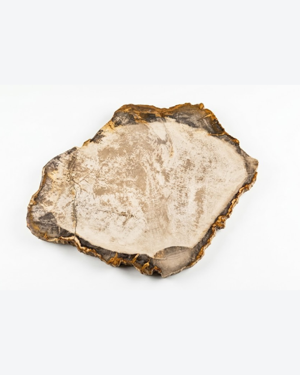 Petrified Wood Natural Plate – PL138