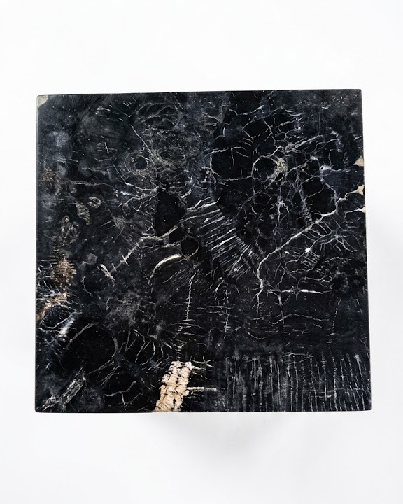 stool by Bali Petrified Wood