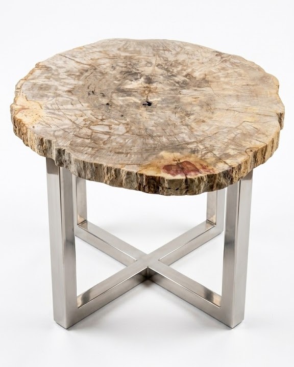 The Petrified Wood Coffee Table – TB117