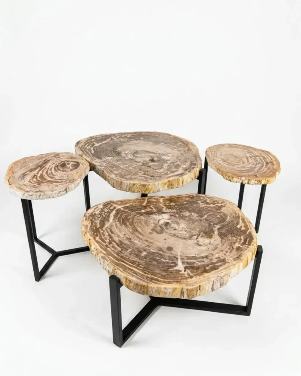 Petrified Wood Coffee Table - TB106