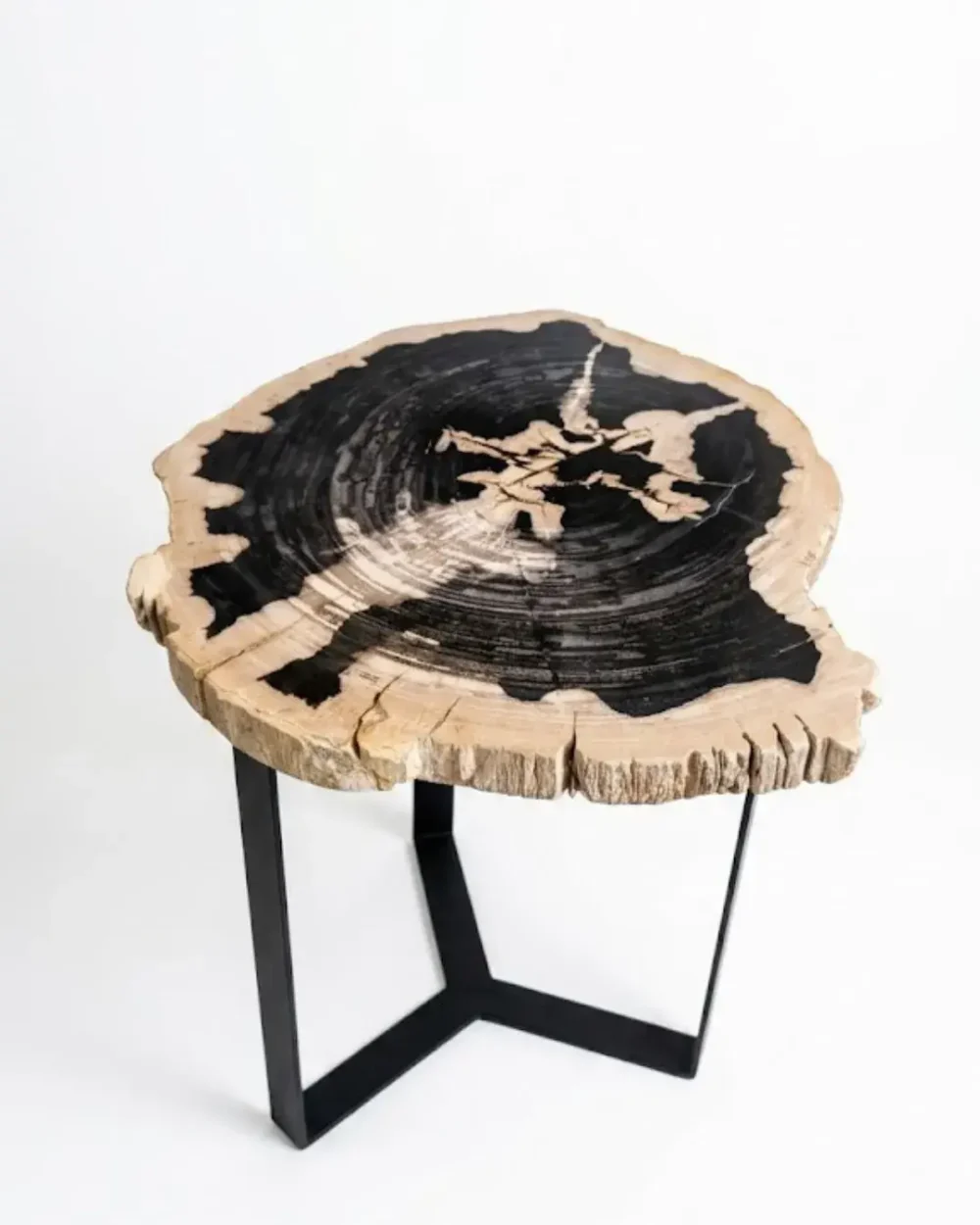 Petrified Wood Coffee Table – TB141